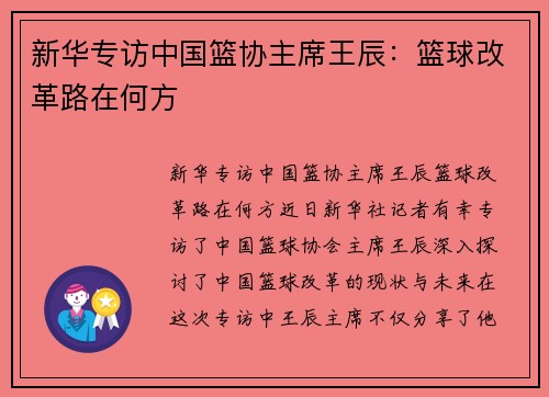 新华专访中国篮协主席王辰：篮球改革路在何方